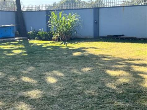 Nest and Rest Guesthouse, Springs, South Africa .